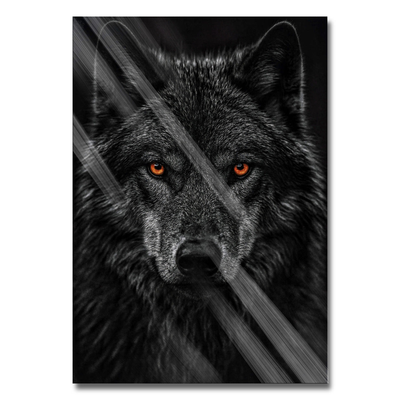 Dark Wolf