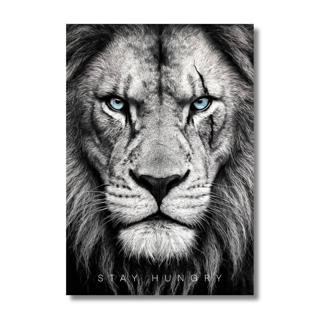 Stay Hungry