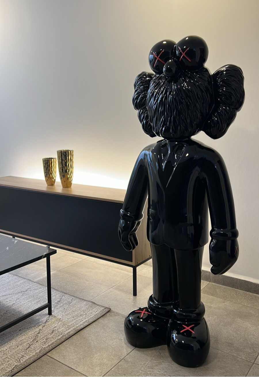 Kaws Dior Black & red