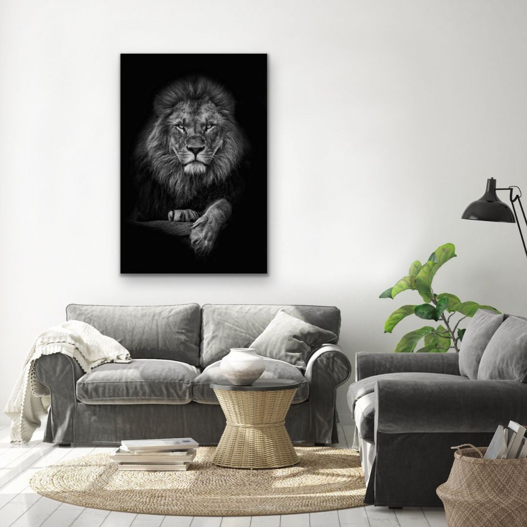 Lion's Walk