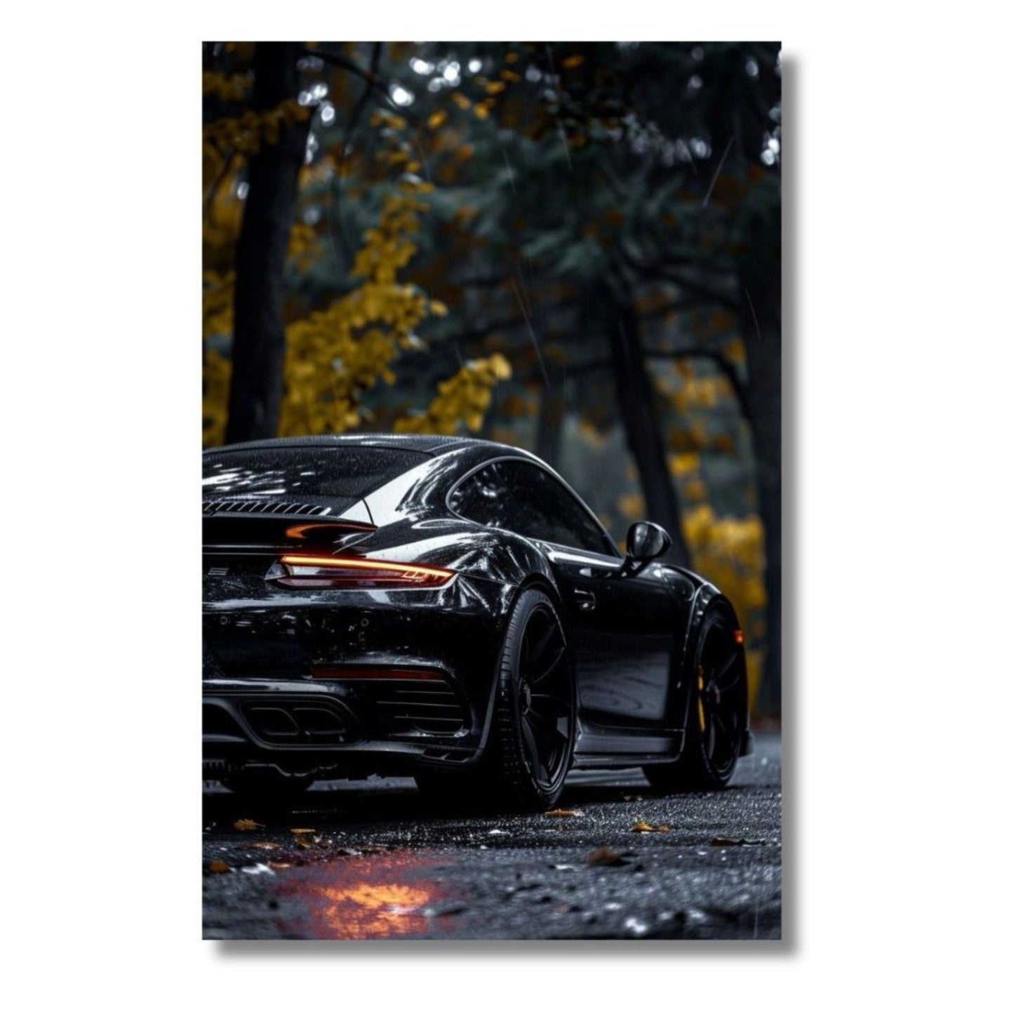 Forest Rain