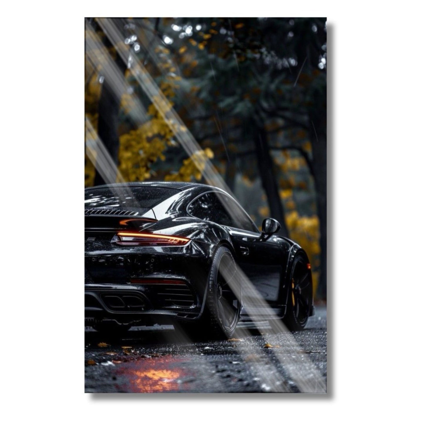 Forest Rain