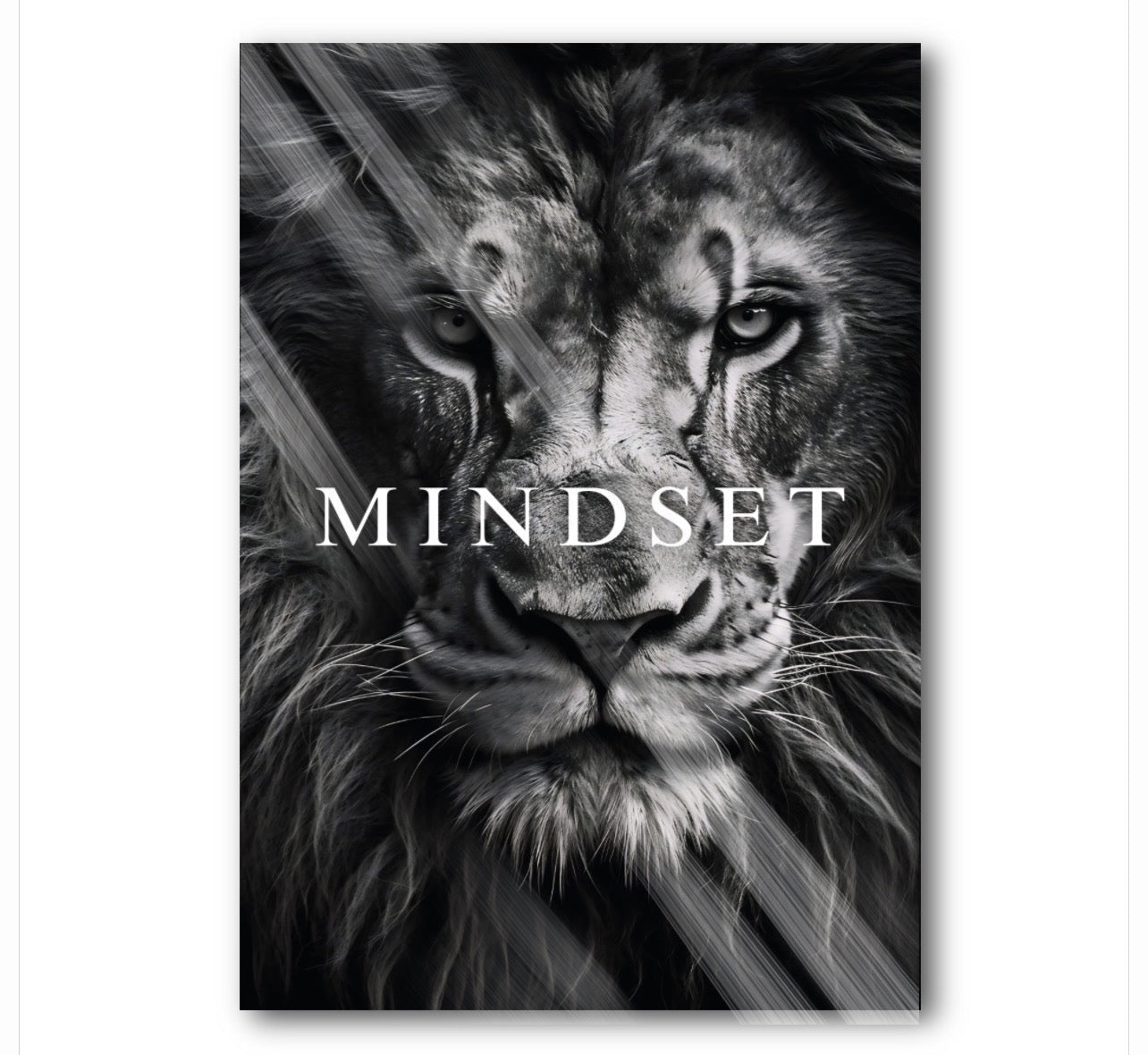 Lion Mindset