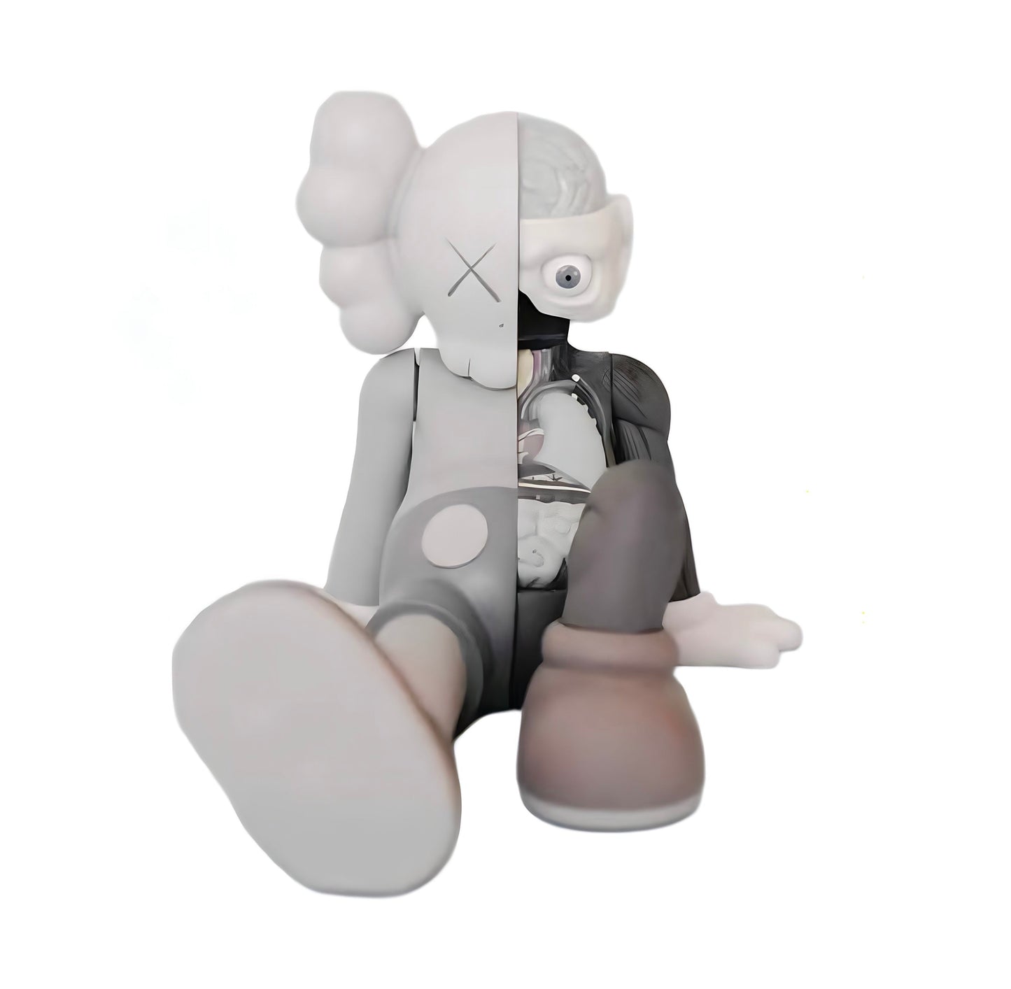 Kaws Sit Anatomy