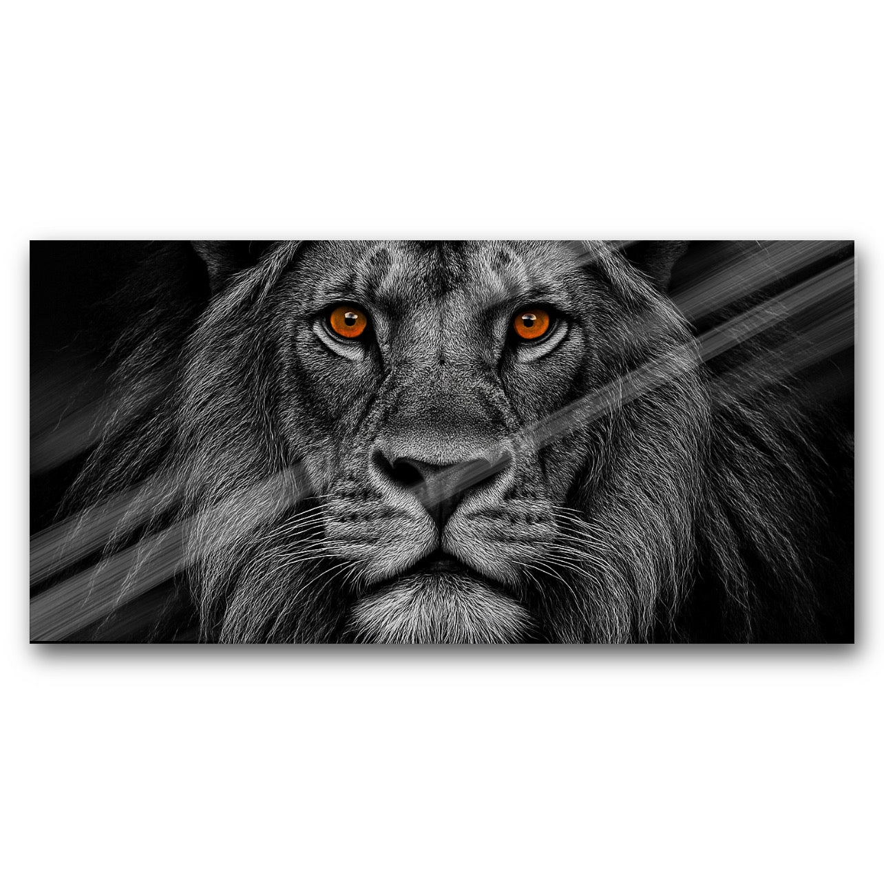 Alpha Lion