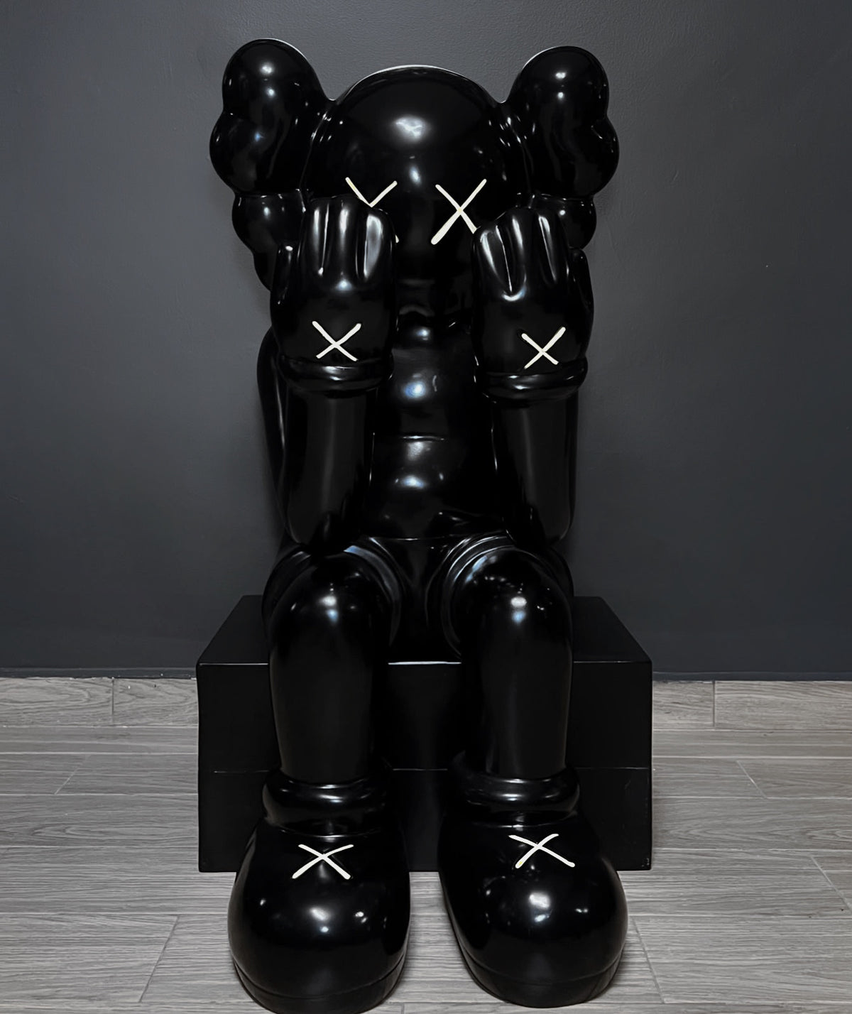Kaws Hide Black
