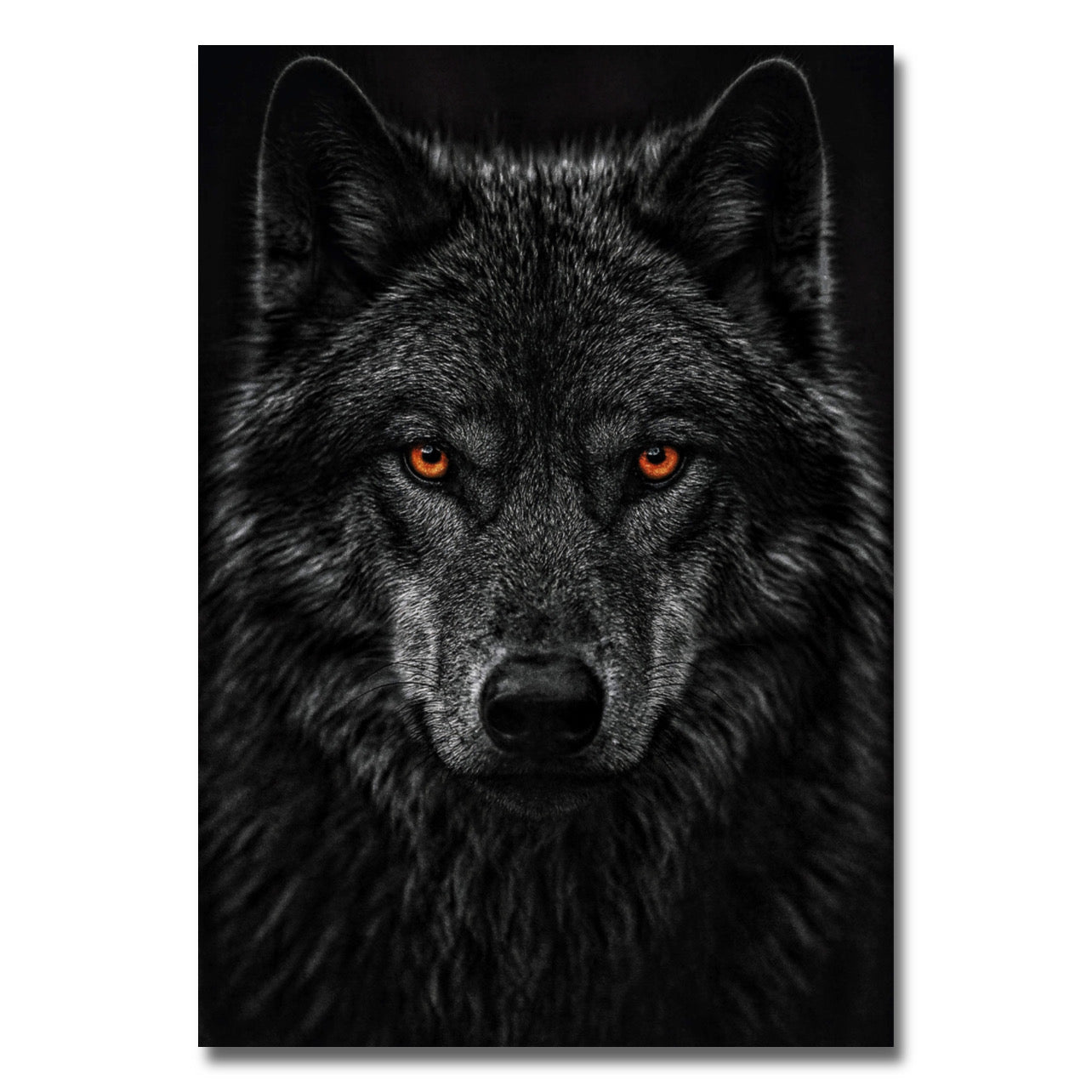 Dark Wolf
