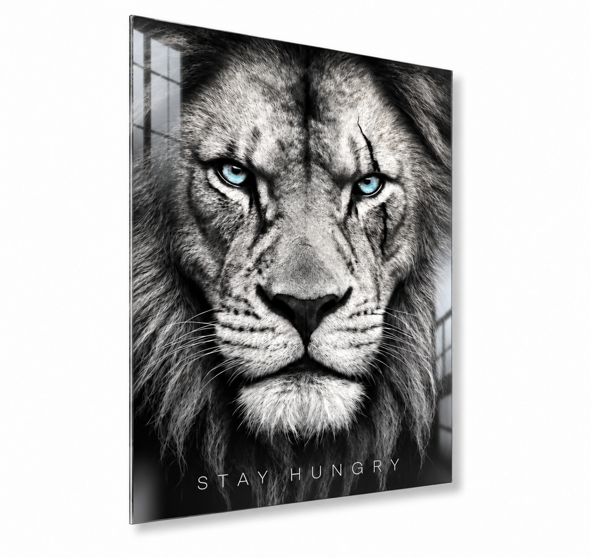 Stay Hungry Lion