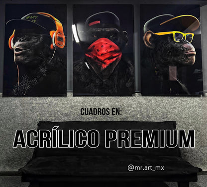 Monkeys 3 Set
