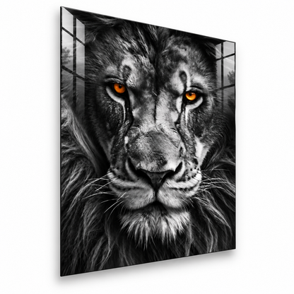 Serious Lion