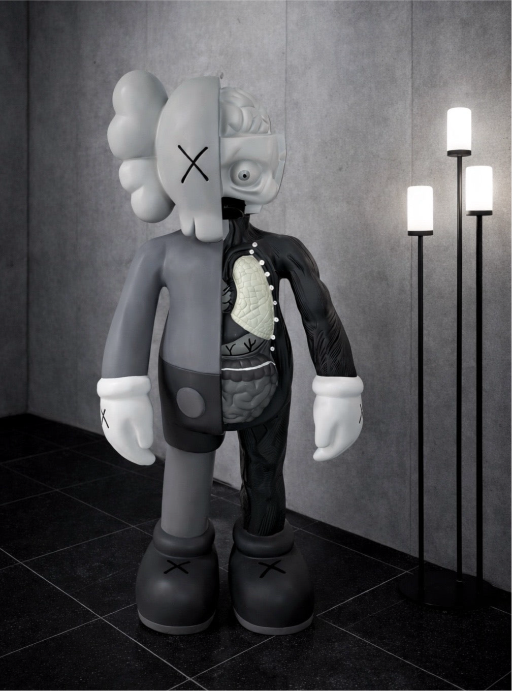 Kaws Anatomy Gray