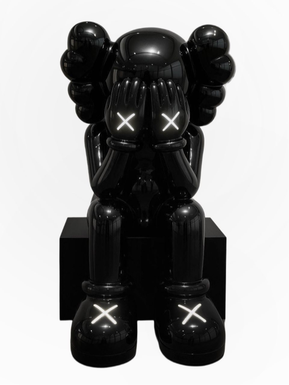 Kaws Hide Black