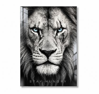 Stay Hungry Lion
