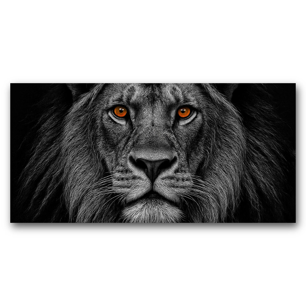 Alpha Lion