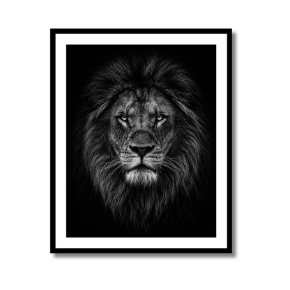 Lion Vintage