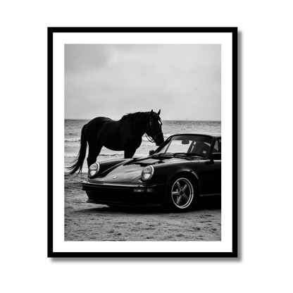 Horse and 911