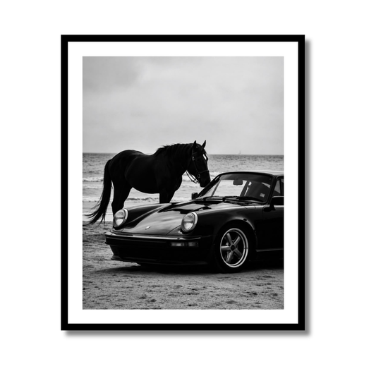 Horse and 911