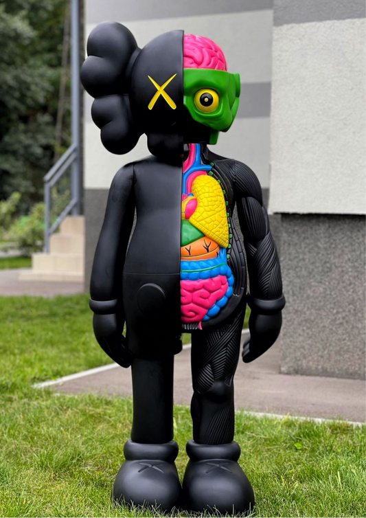 Kaws Anatomy