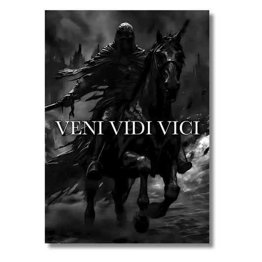 VENI VIDI VICI ART