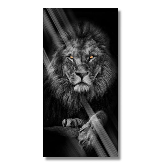 Lion Walk