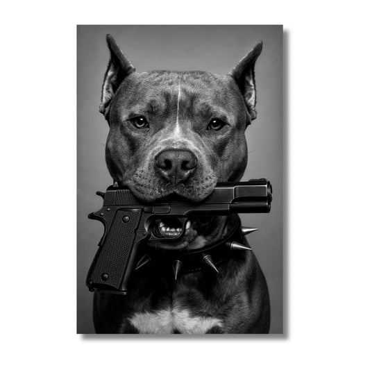 Pitbull´s Gun