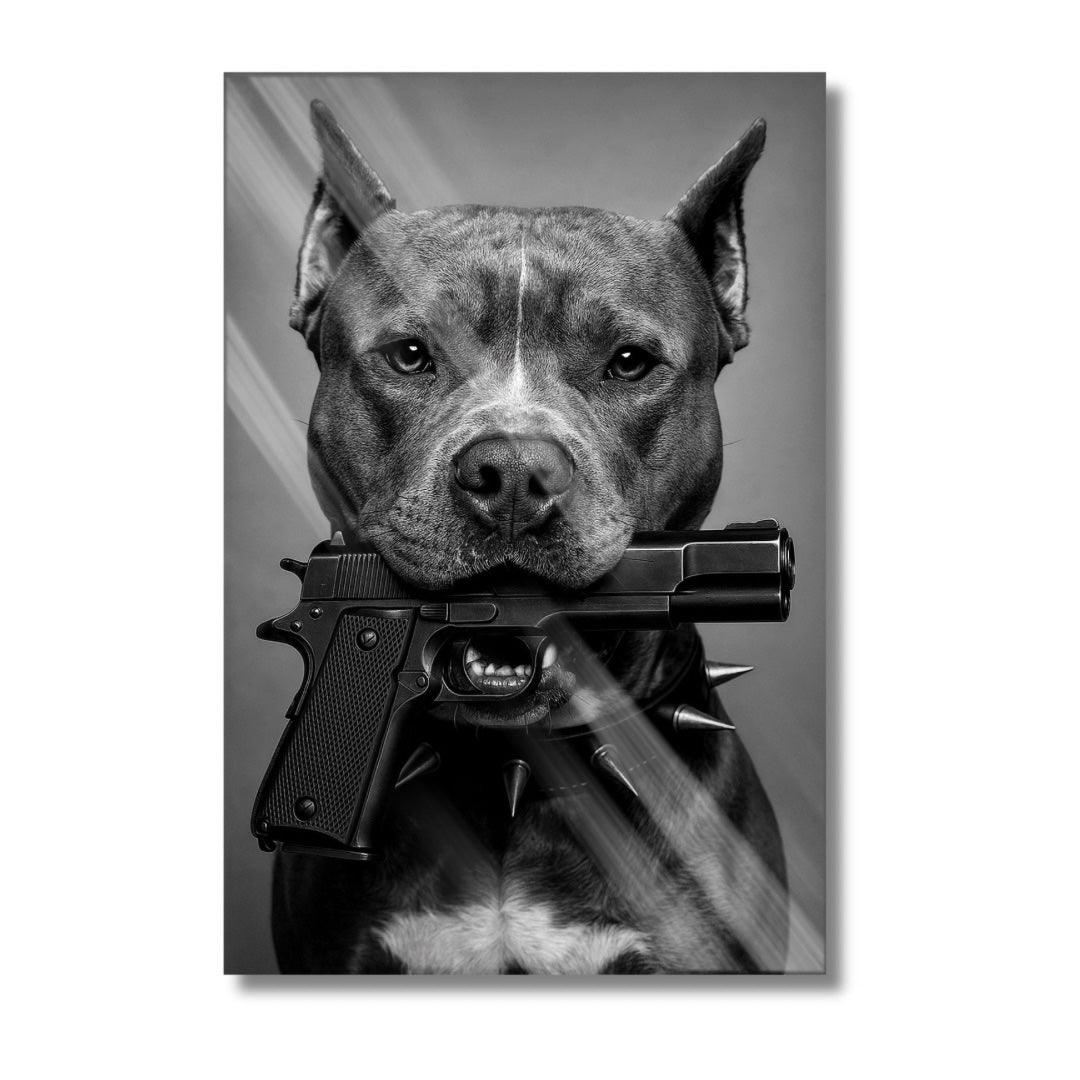 Pitbull´s Gun