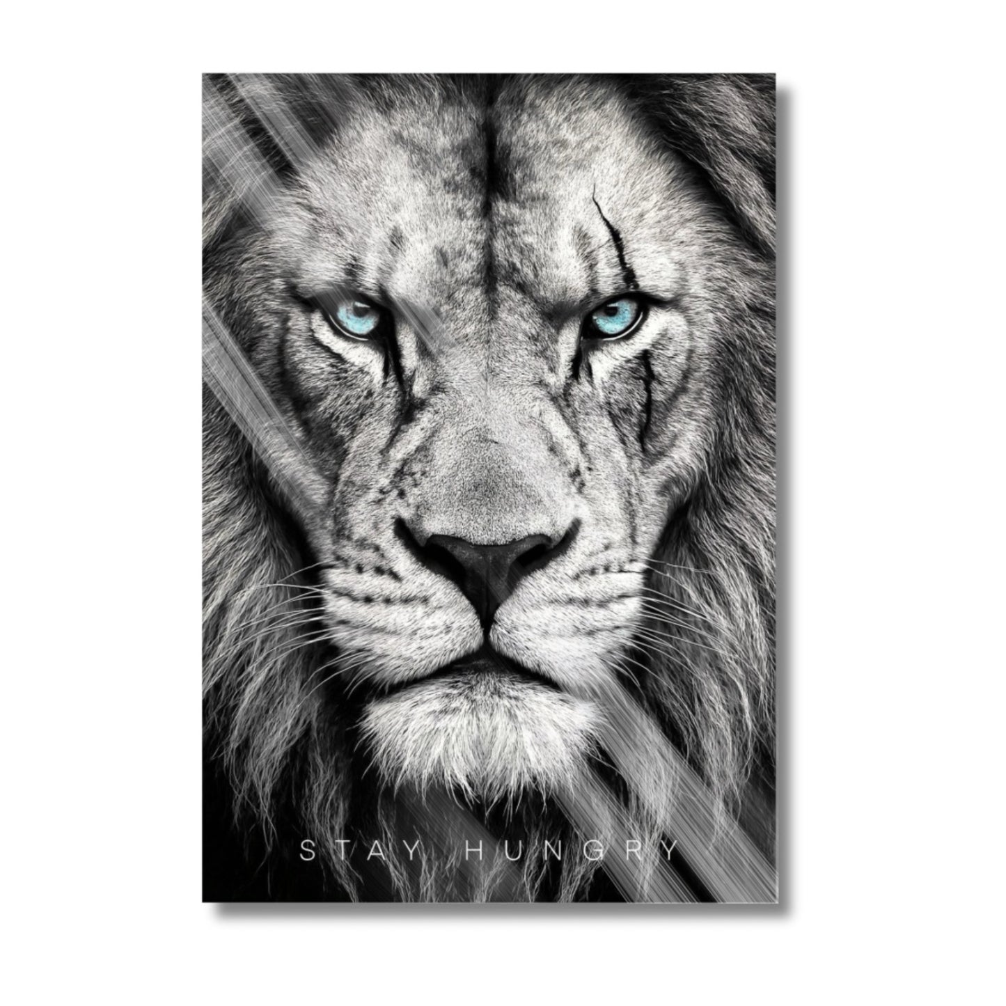 Stay Hungry Lion