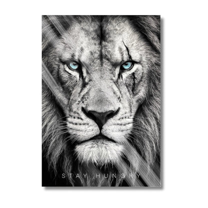 Stay Hungry Lion