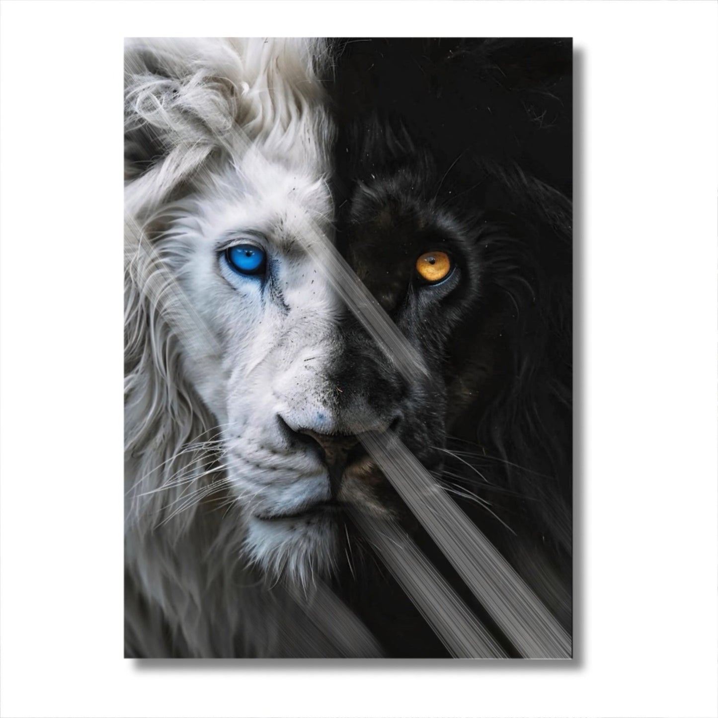 White Black Lion
