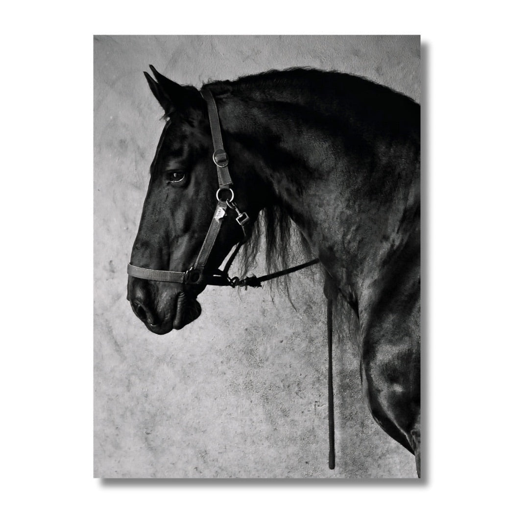 Black Horse