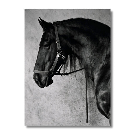 Black Horse