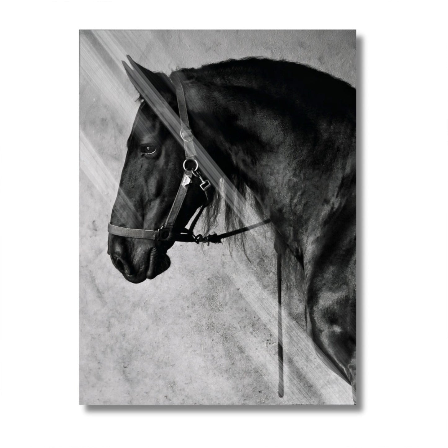 Black Horse