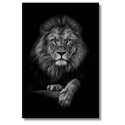 Lion's Walk