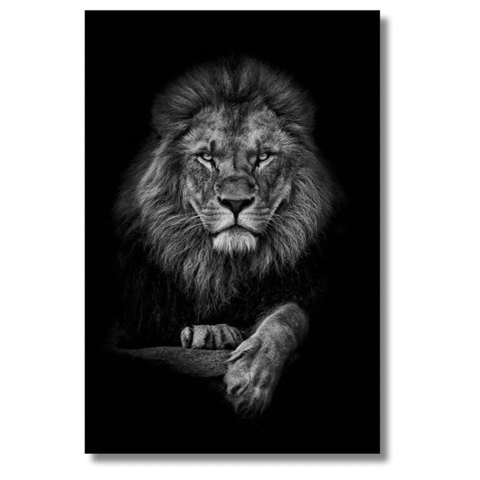 Lion's Walk