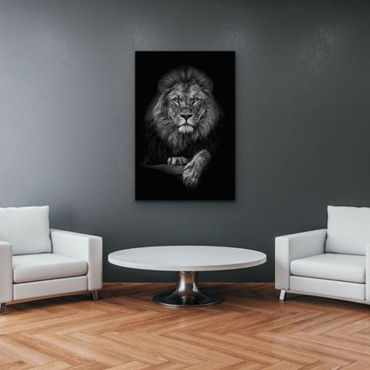 Lion's Walk
