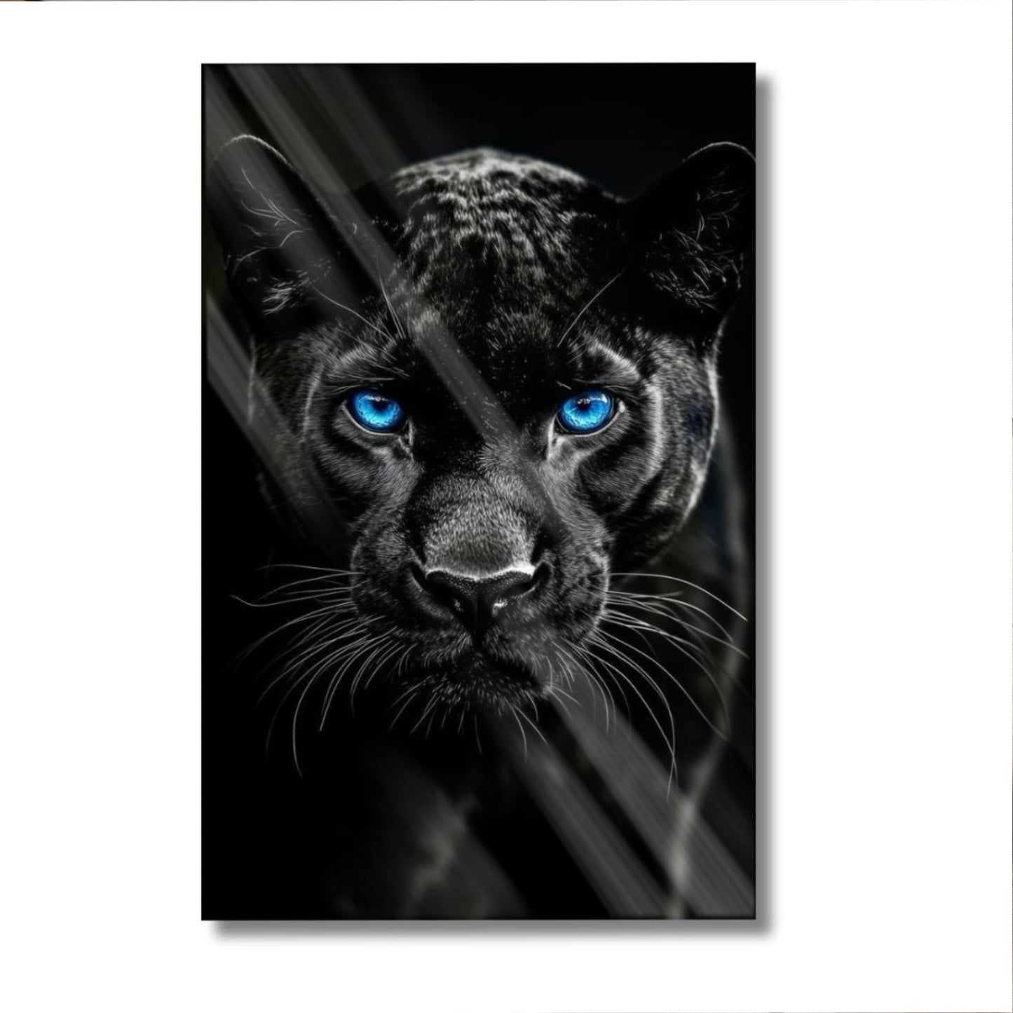 Blue Eyed Panther