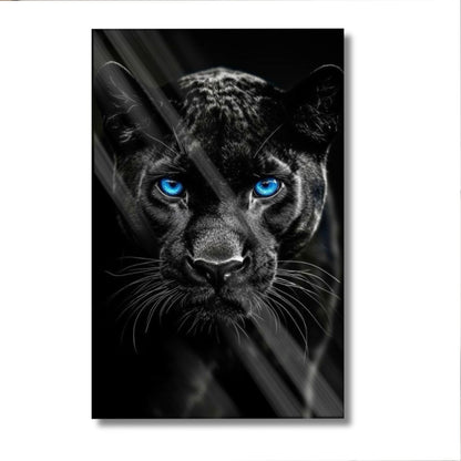 Blue Eyed Panther