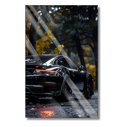 Forest Rain