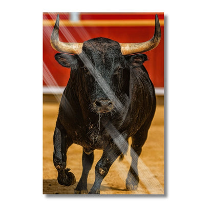 Bull Red