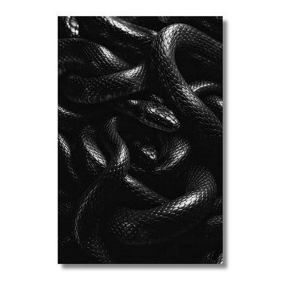 Black Snakes