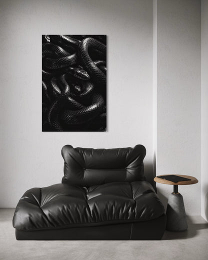 Black Snakes