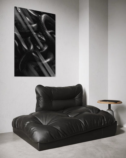 Black Snakes
