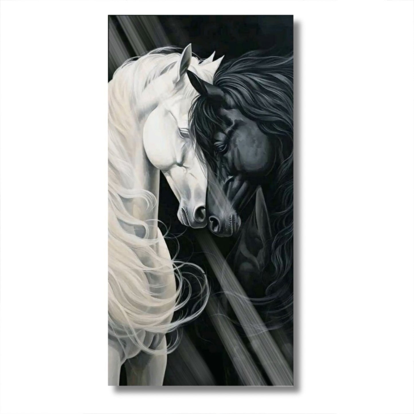 Black & White Horses
