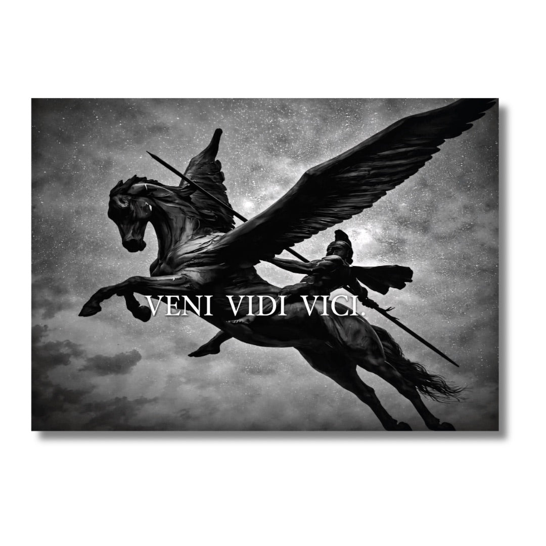 Vidi Vici