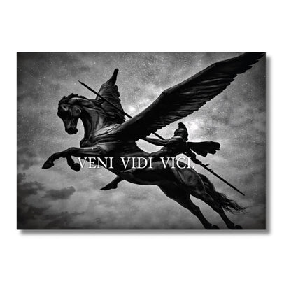 Vidi Vici