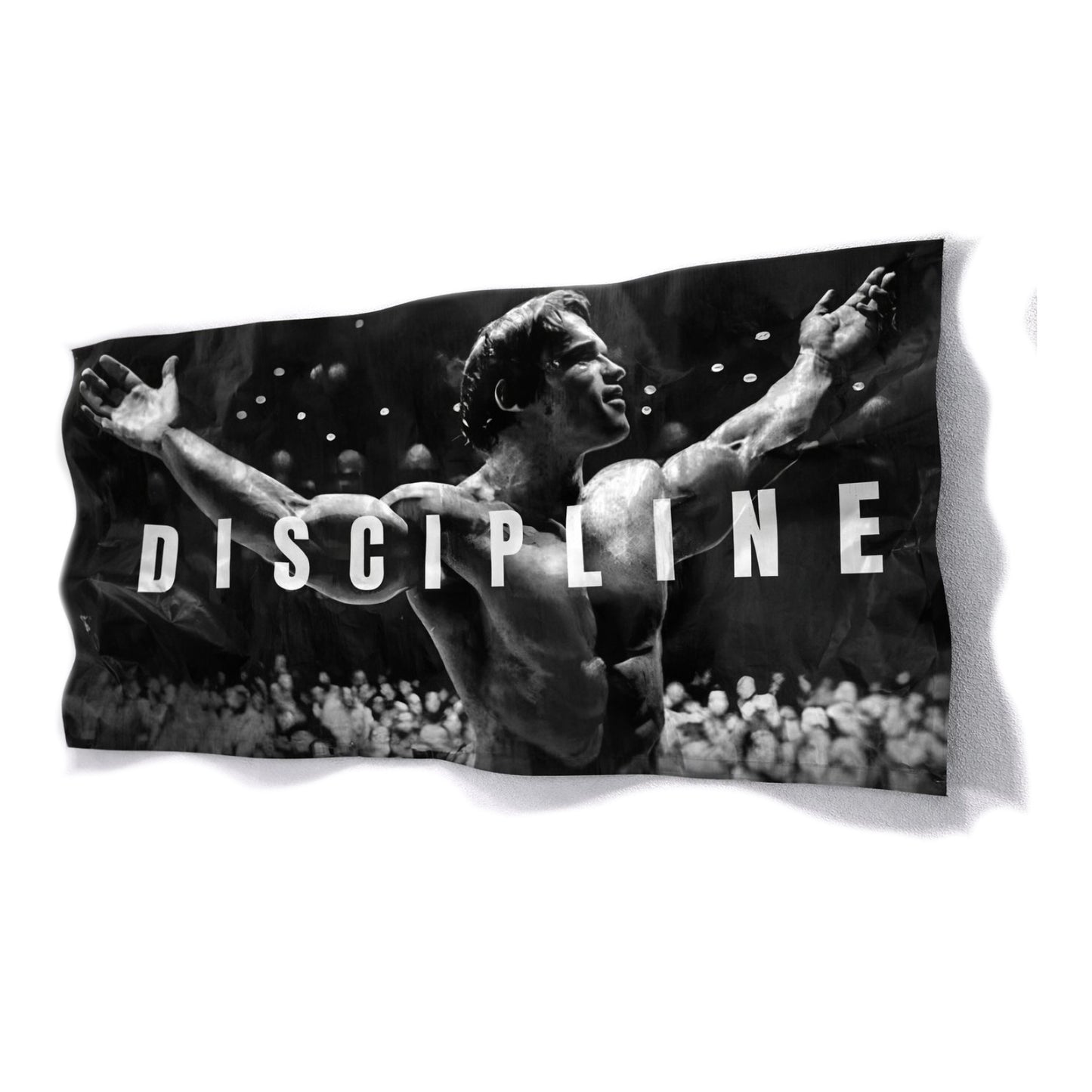 Discipline 3D