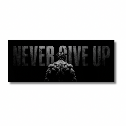 Never Give Up