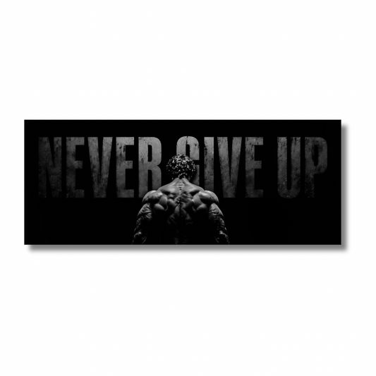 Never Give Up
