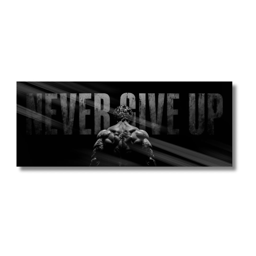 Never Give Up