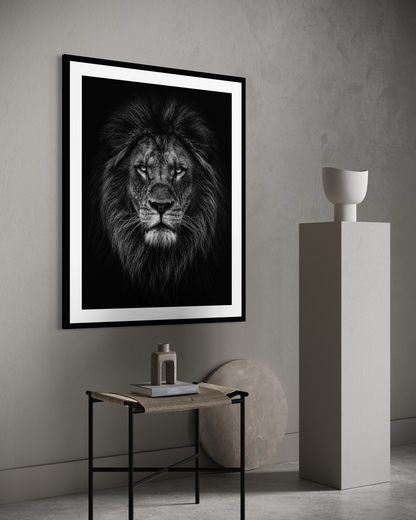 Lion Vintage